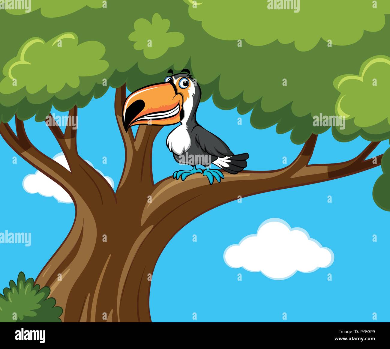 Toucan oiseau sur l'illustration de la direction générale Illustration de Vecteur