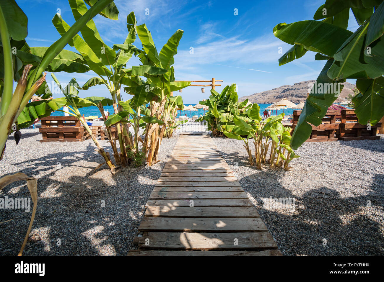 Marche en bois bordée de bananiers de Vlycha beach près de Lindos Village (Rhodes, Grèce) Banque D'Images