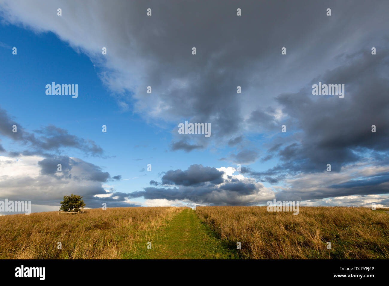 Pré-lumineux lumière au coucher du soleil et les nuages au-dessus de bois spectaculaire victoire, Yorkletts, Whitstable, Kent, UK. Banque D'Images