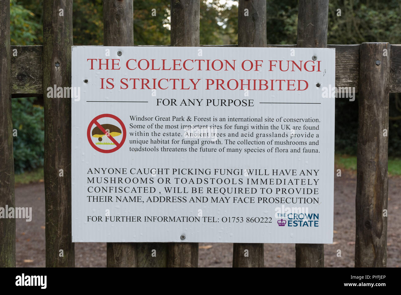 Inscrivez-vous sur la lecture de la porte collection de champignons est strictement interdit - à l'entrée de l'eau VIRGINIE Parc Royal Crown Estate land à Surrey, UK Banque D'Images