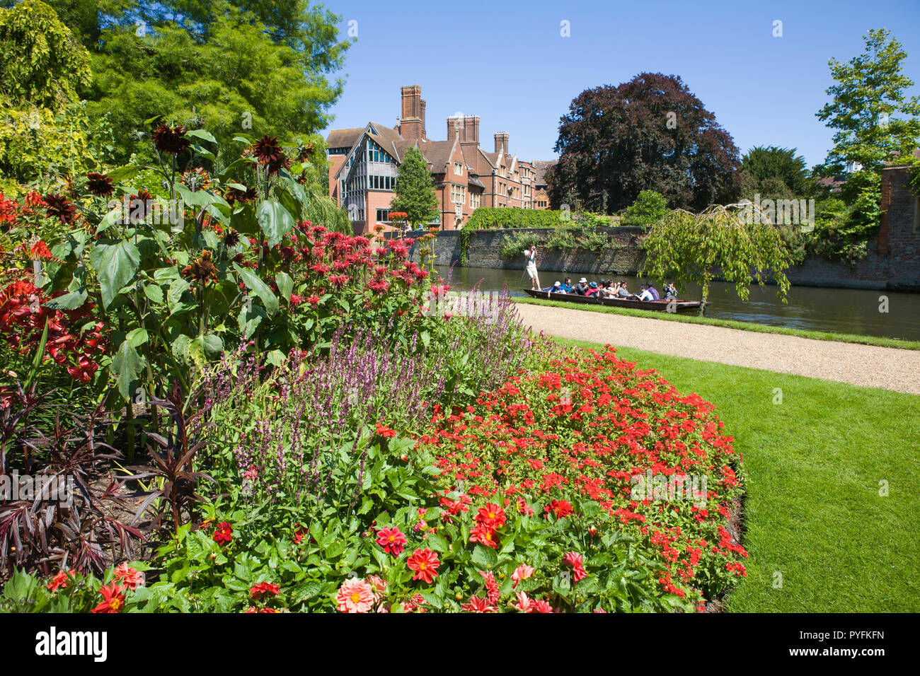 Promenades en barque sur la rivière Cam à Cambridge vu de Clare College gardens avec Trinity Hall College dans l'arrière-plan Banque D'Images