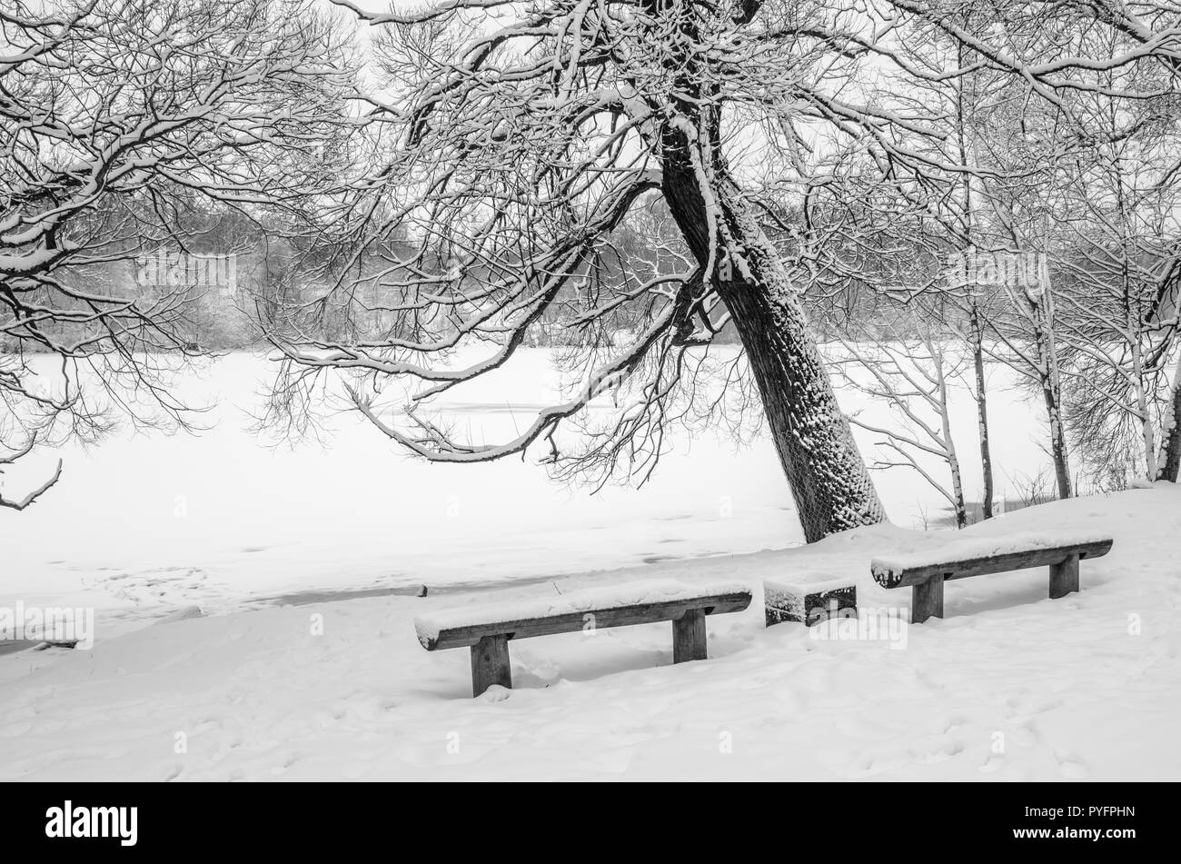 Parc couvert de neige par la rivière, close-up Banque D'Images