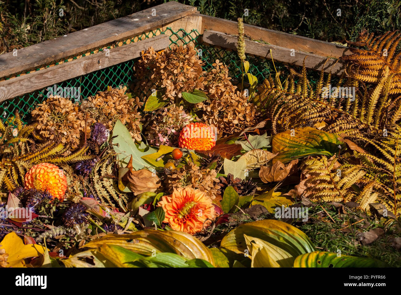 Image de bac à compost dans le jardin d'automne Banque D'Images