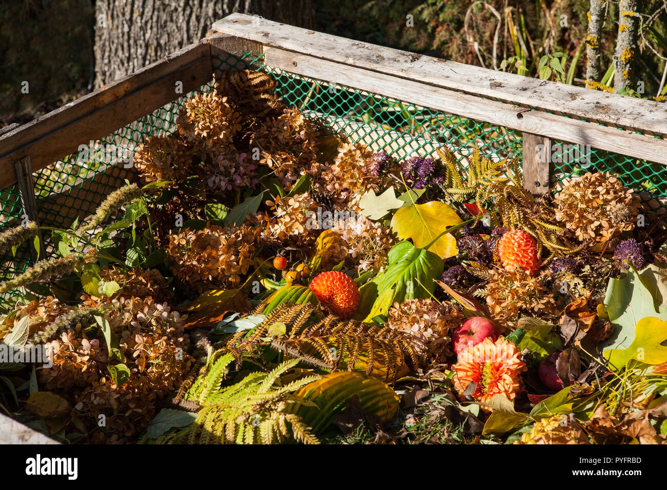 Image de bac à compost dans le jardin d'automne Banque D'Images