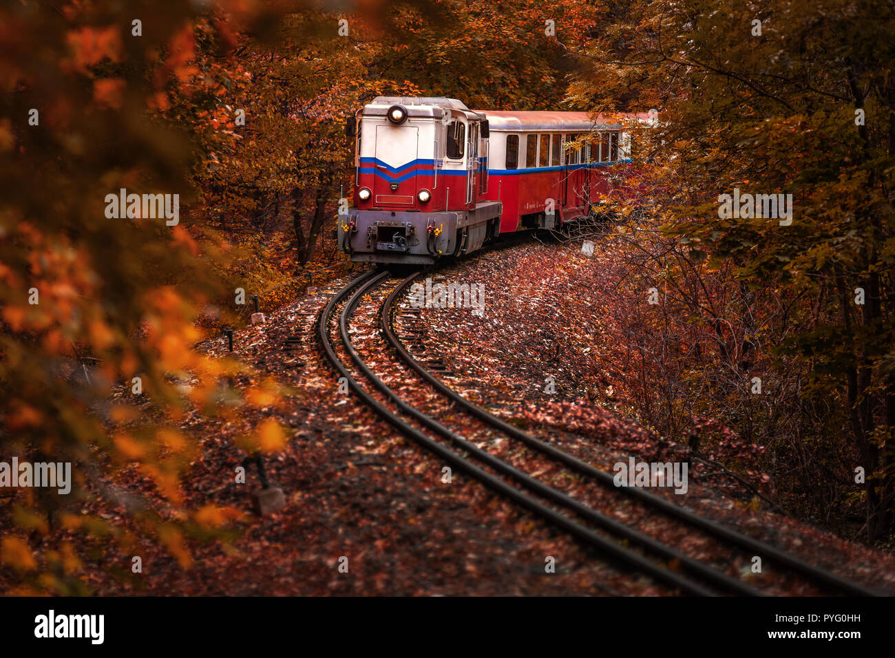 Budapest, Hongrie - belle forêt d'automne avec le feuillage et vieux train coloré sur la piste en hongrois à Huvosvolgy woods Banque D'Images