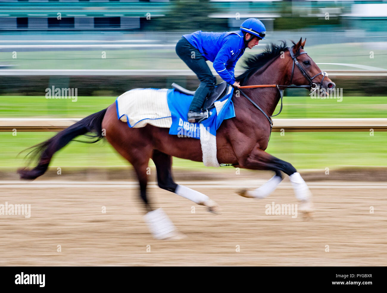 Louisville, Kentucky, USA. 25 octobre, 2018. Thunder Snow (IRE), formés par Saeed bin Suroor, exercices en préparation de la Breeders' Cup Classic à Churchill Downs. Credit : csm/Alamy Live News Banque D'Images