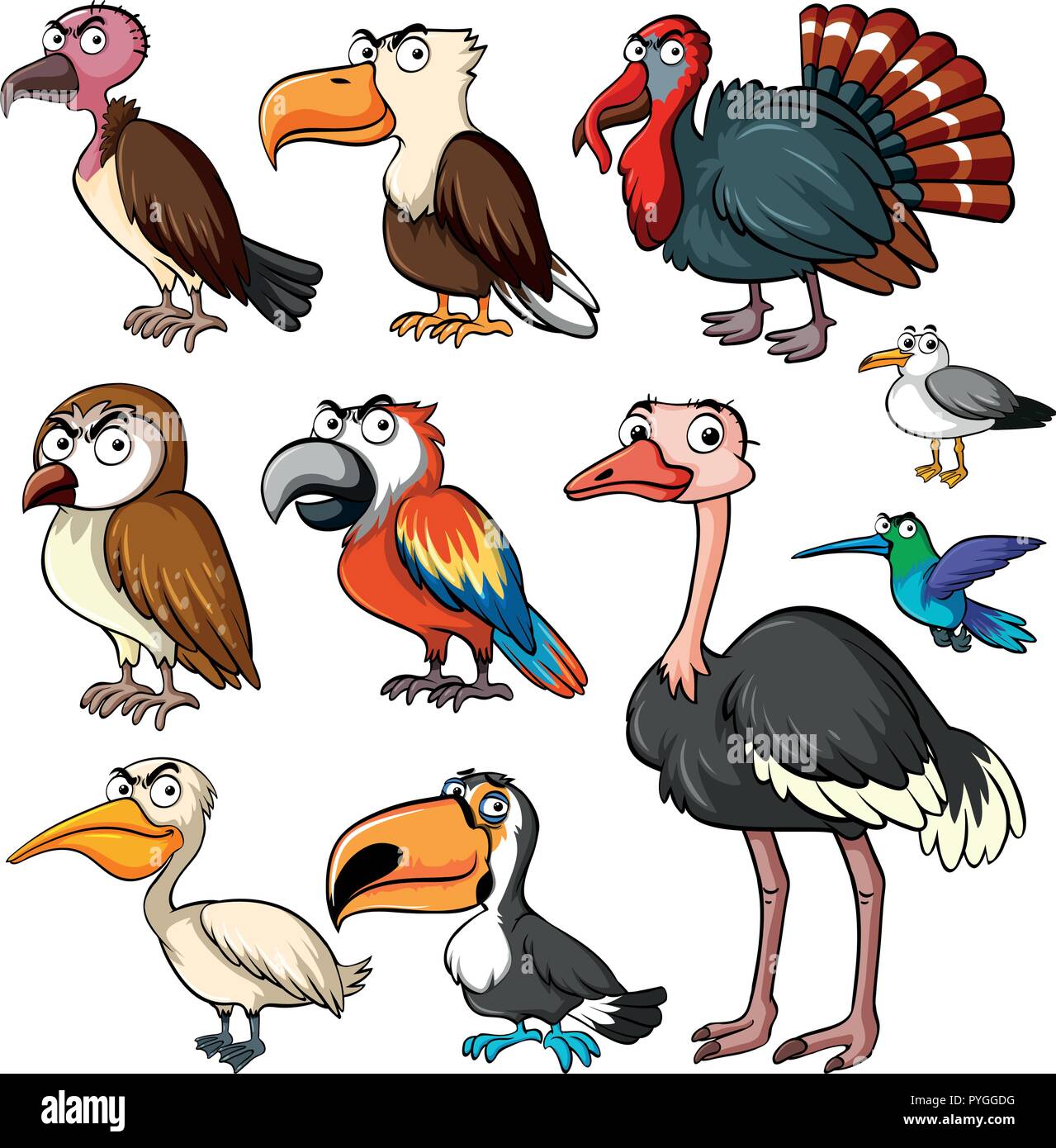 Différents types d'oiseaux sauvages à l'illustration Illustration de Vecteur