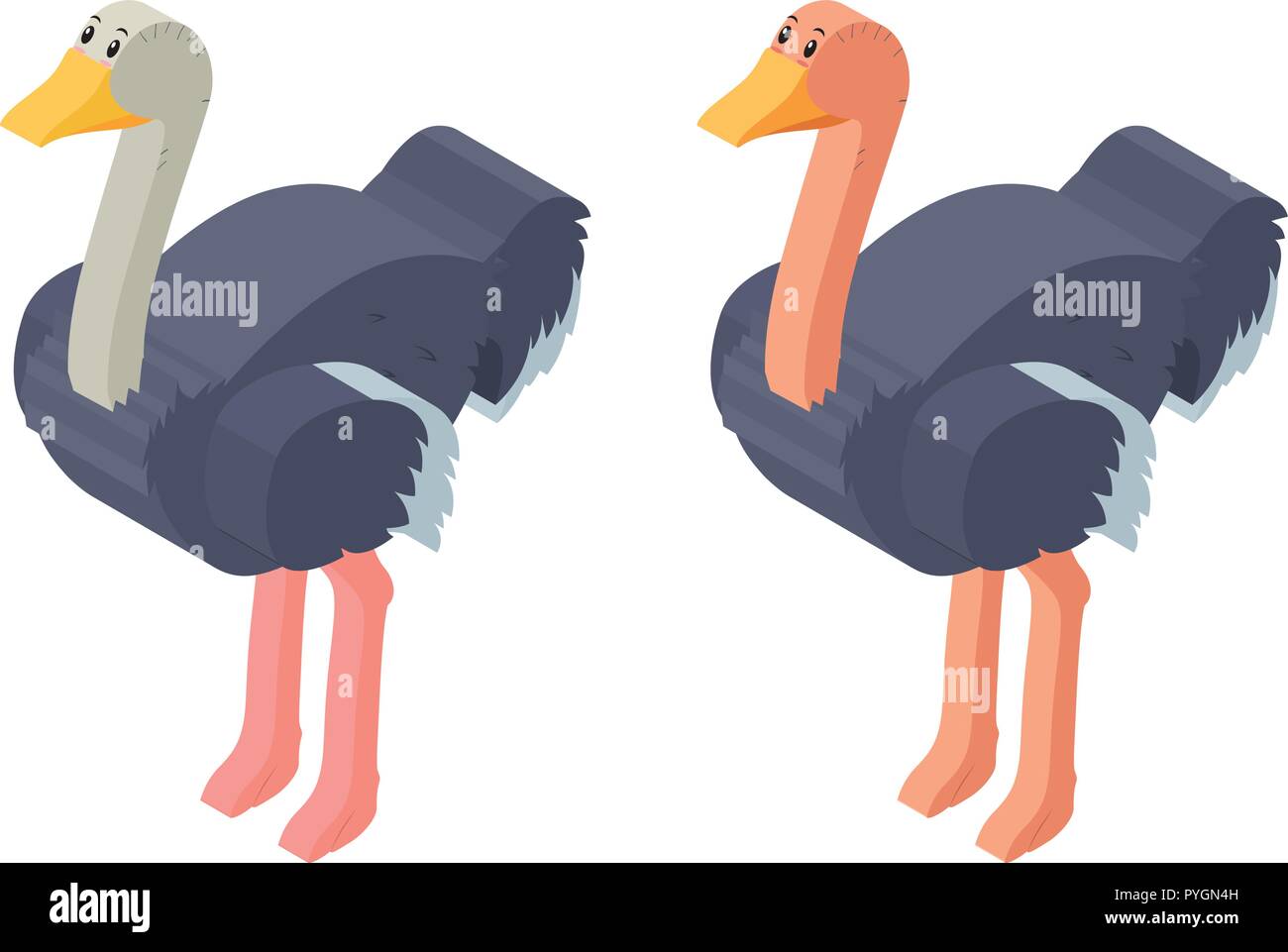 La conception 3D illustration d'oiseaux pour l'autruche Illustration de Vecteur