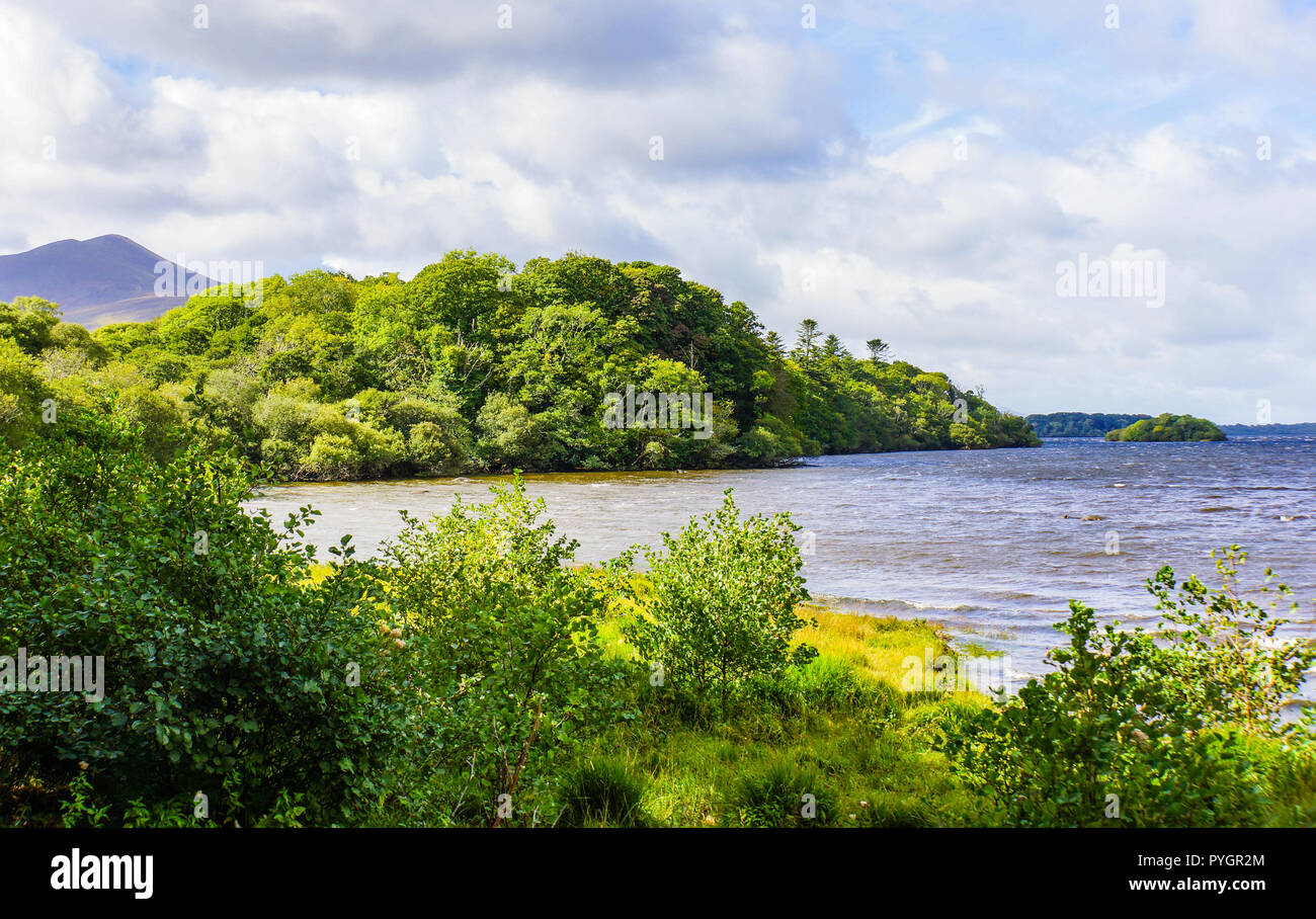 Vue panoramique à partir d'un cheval traditionnelle irlandaise et Jaunting car trip autour du lac Killarney et Park area Banque D'Images