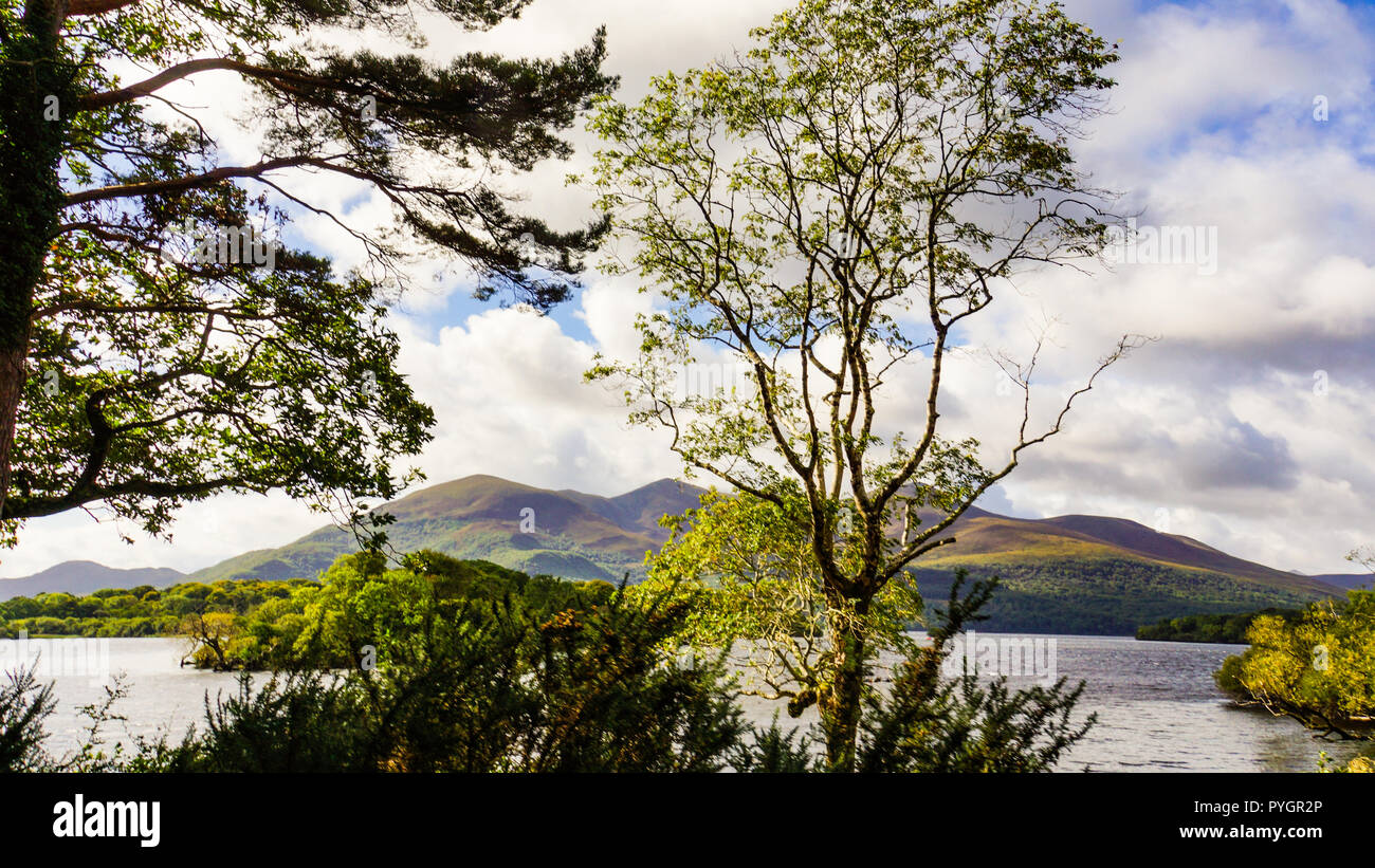 Vue panoramique à partir d'un cheval traditionnelle irlandaise et Jaunting car trip autour du lac Killarney et Park area Banque D'Images