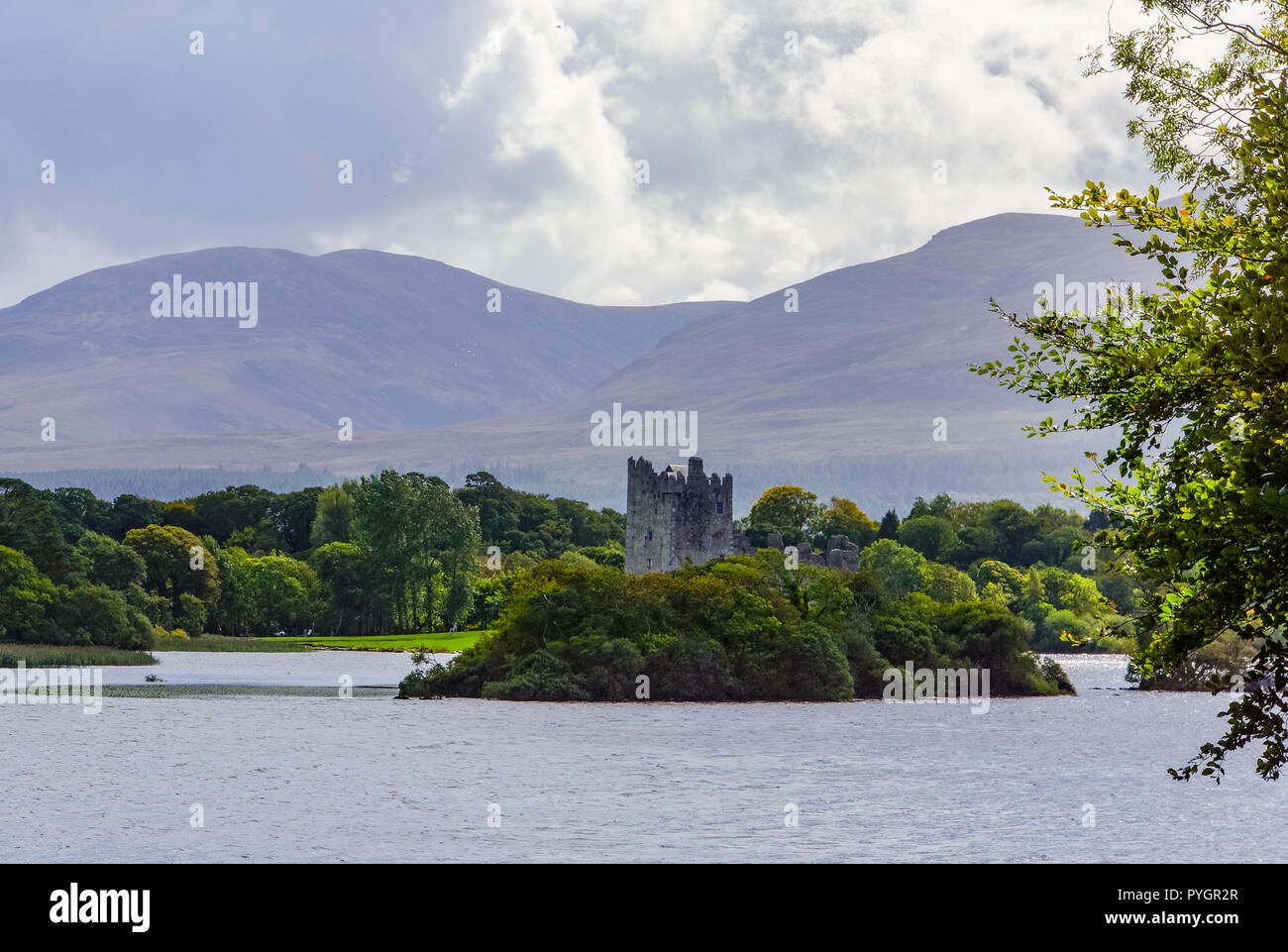 Vue panoramique sur le Château de Ross tout en dégustant un traditionnel irlandais et cheval Jaunting en voiture autour du lac Killarney et Park area Banque D'Images