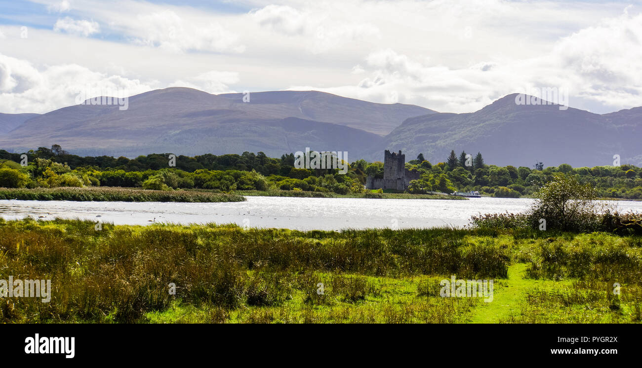 Vue panoramique sur le Château de Ross tout en dégustant un traditionnel irlandais et cheval Jaunting en voiture autour du lac Killarney et Park area Banque D'Images