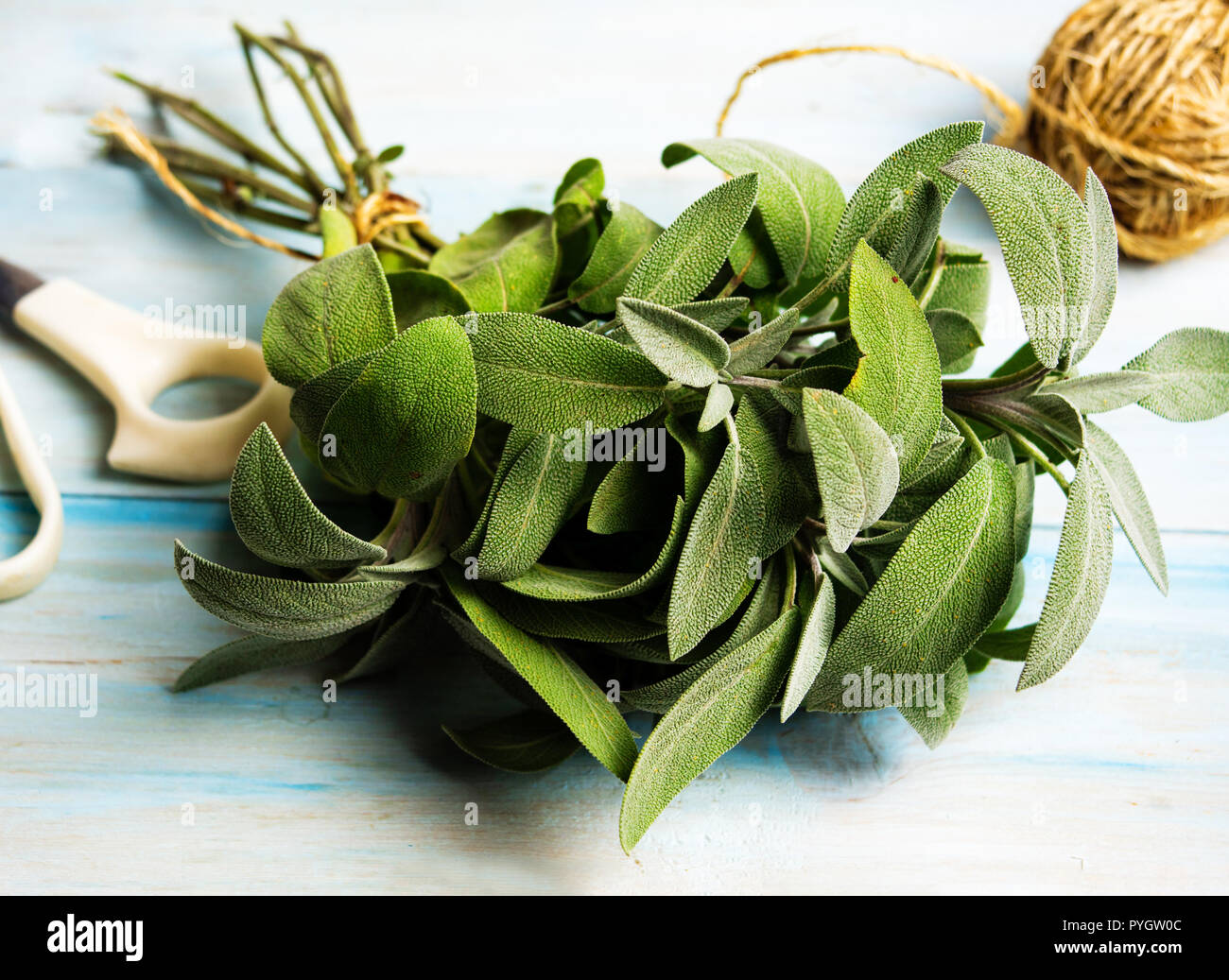 Usine Sage brunch sur une table en bois close up Banque D'Images