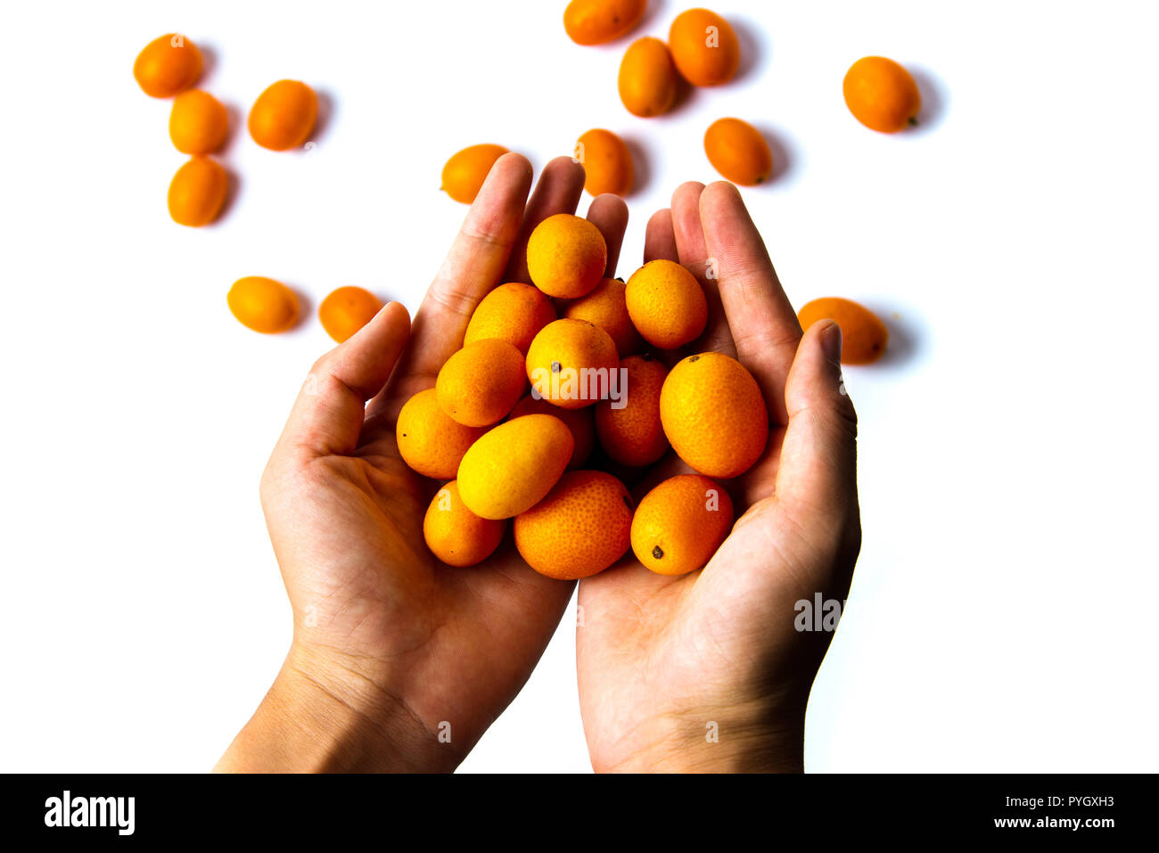 Hand holding fruit kumquat isolated on white Banque D'Images