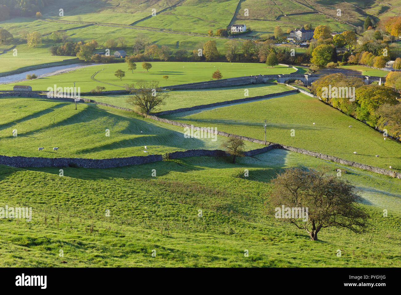 Vue sur la rivière Wharfe en fond de vallée, Tonbridge, Wharfedale, Yorkshire, Angleterre, octobre Banque D'Images
