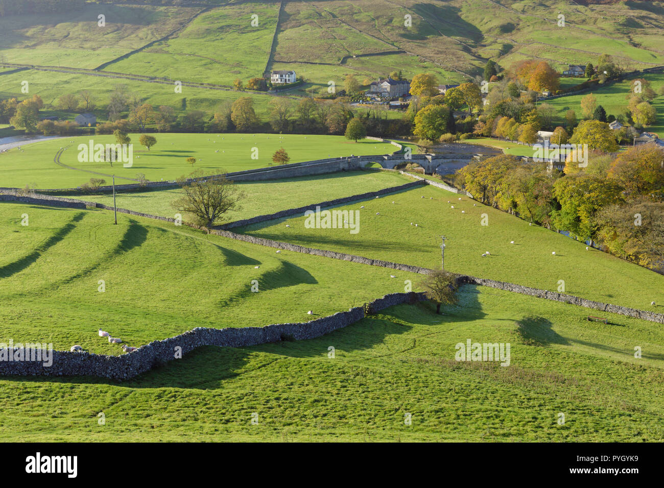 Vue sur la rivière Wharfe en fond de vallée, Tonbridge, Wharfedale, Yorkshire, Angleterre, octobre Banque D'Images