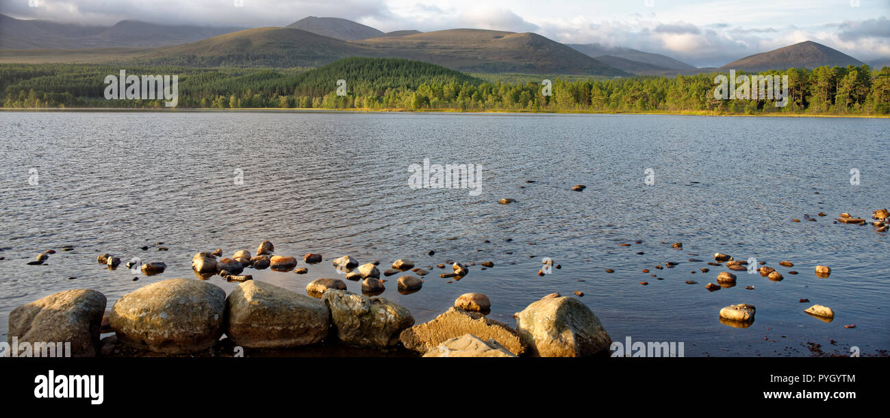 Soleil du matin sur le Loch Morlich Vue vers Cairn Lochan Rothiemurchus Forest, Ecosse, Cairngorms Banque D'Images