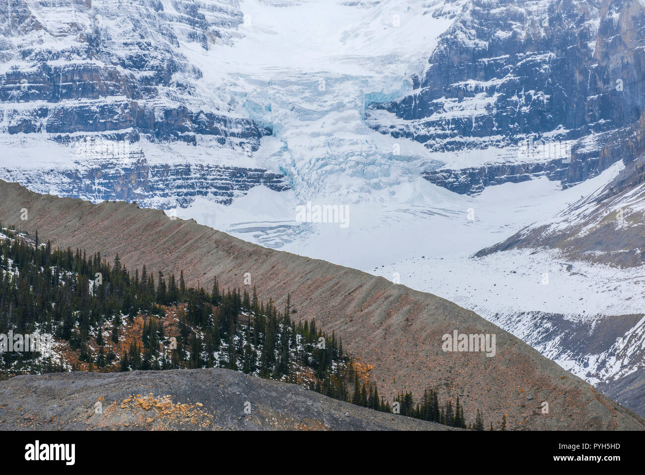 Glacier Stutfield, Jasper NP, Alberta, Canada, par Bruce Montagne/Dembinsky Assoc Photo Banque D'Images