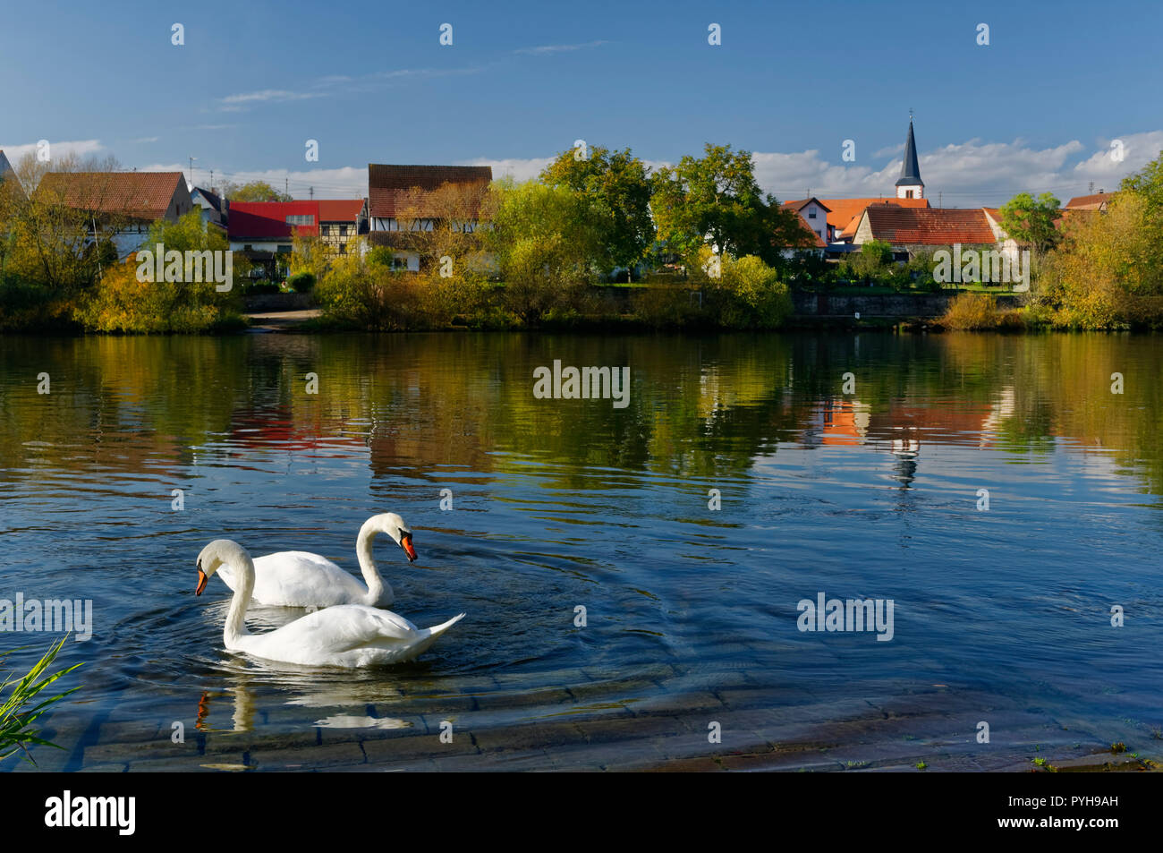 Trennfeld (partie de Triefenstein) : vue sur la rivière Main et l'église St Georg, District de Main-Spessart, Basse-Franconie, Bavière, Allemagne Banque D'Images