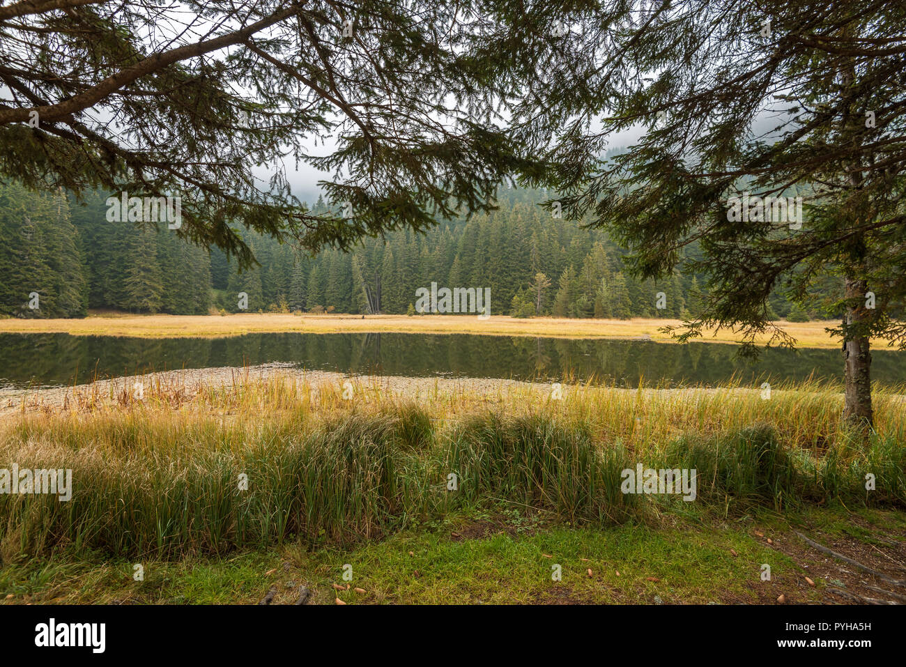 Lacs de Smolyan en Bulgarie au cours de l'automne. Banque D'Images