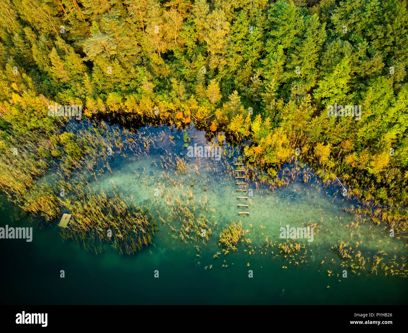 Haut de l'antenne vers le bas sur le lac Gela côte avec des arbres tombés, ce qui reflète les nuages et forêt près de la ville de Vilnius, Lituanie Banque D'Images