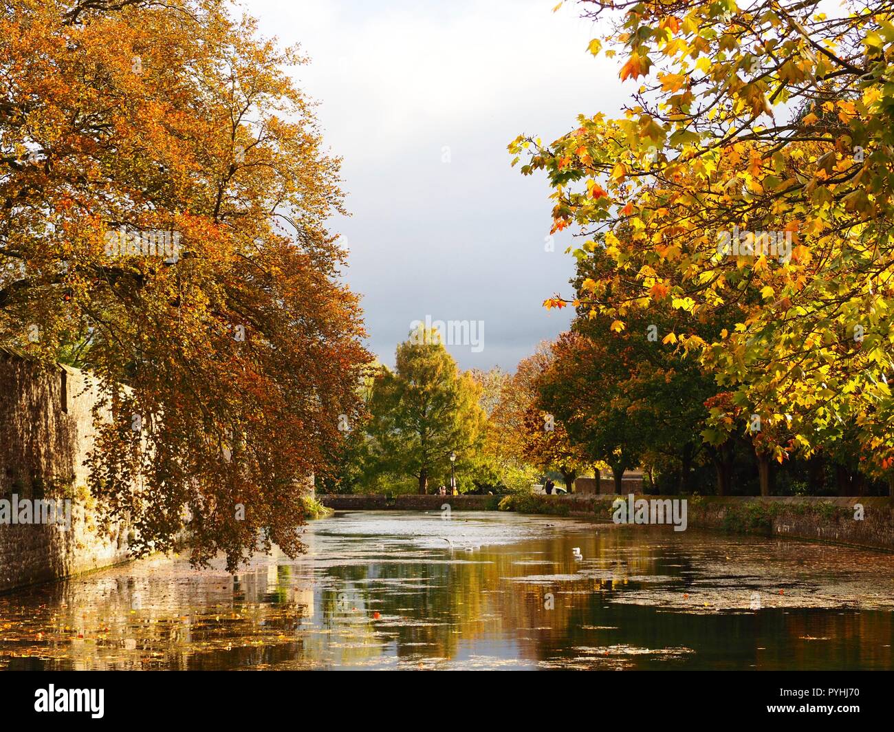 Réflexions de l'automne dans les arbres les douves autour du palais des évêques, semaines Somerset Banque D'Images