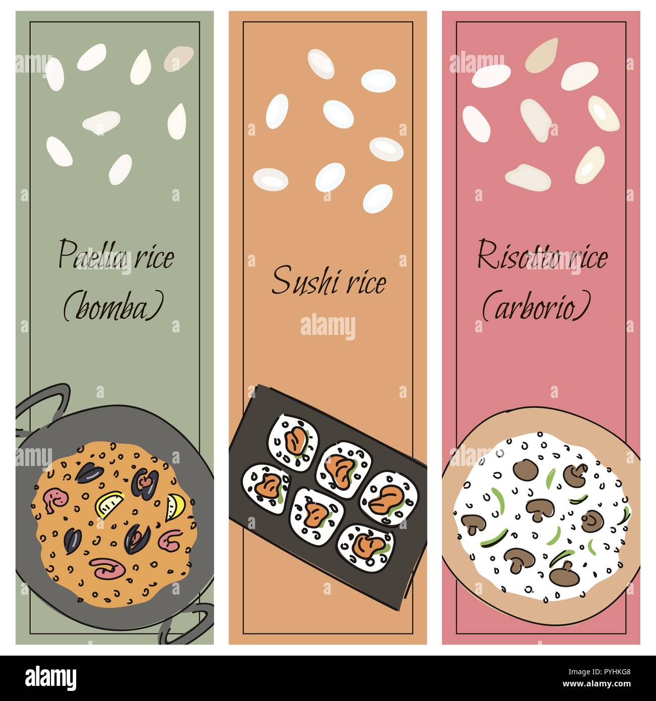 Riz pour différents plats. La Paella, le risotto, sushi Vector illustration eps10 Illustration de Vecteur
