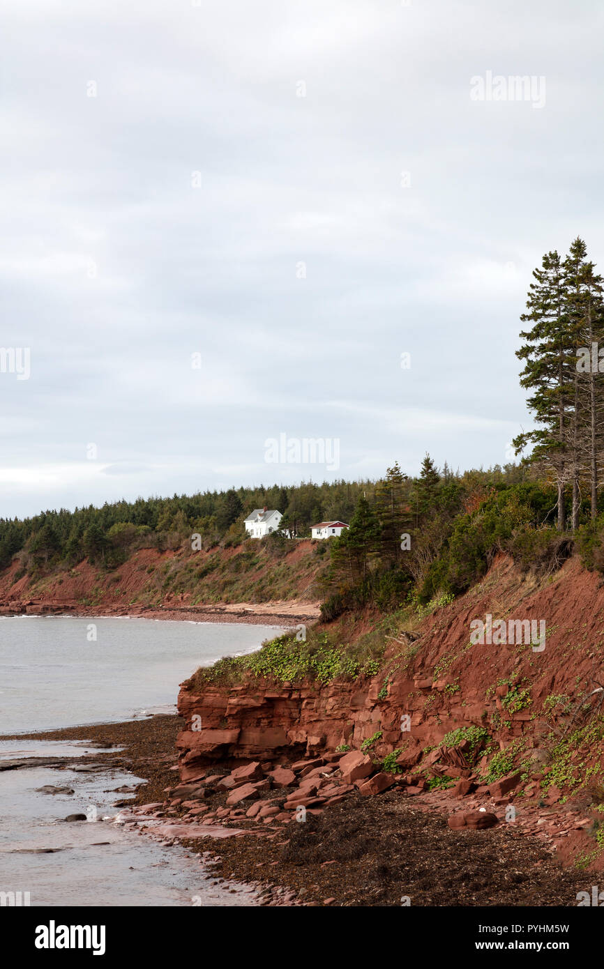 Falaises de grès rouge, de la plage, à marée basse, golfe du Saint-Laurent, l'Île du Prince Édouard, Canada, par James D. Coppinger/Dembinsky Assoc Photo Banque D'Images