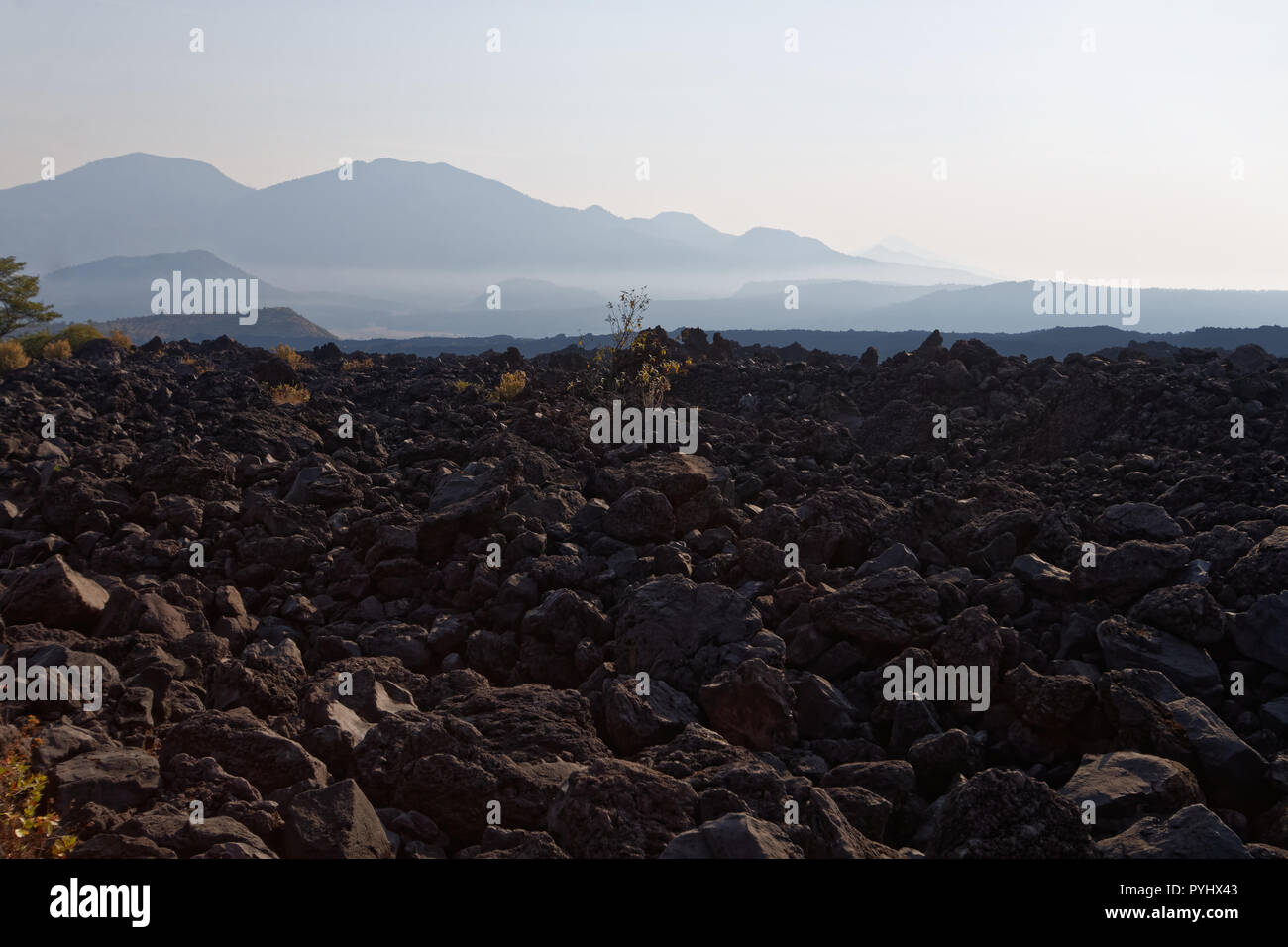 Le Volcan Paricutin, Mexique Banque D'Images