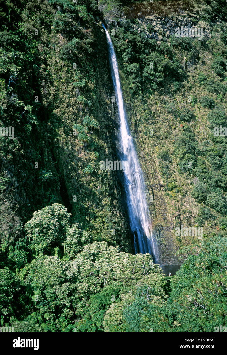 Hawaii. De Kohala. Profond ravin cascade. Banque D'Images