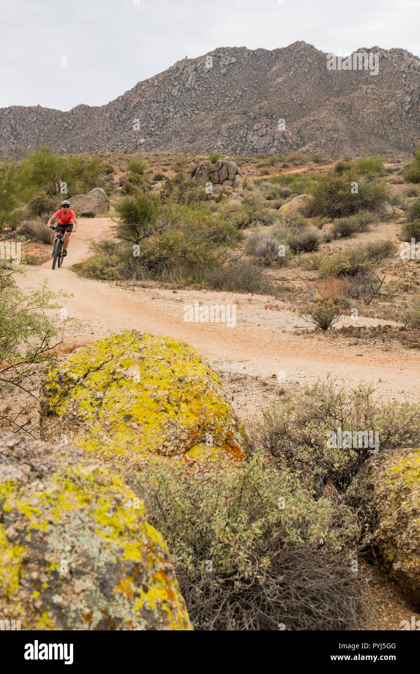 Randonnée cycliste, McDowell Mountain Regional Park, près de Fountain Hills et à l'Est de Phoenix, Arizona. Banque D'Images