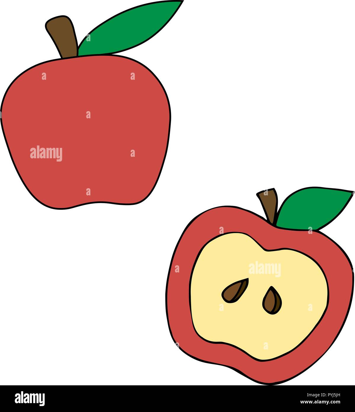 Vecteur rouge apple dans une coupe. tranche de pomme. core avec fosses. Pour l'illustration. Illustration de Vecteur