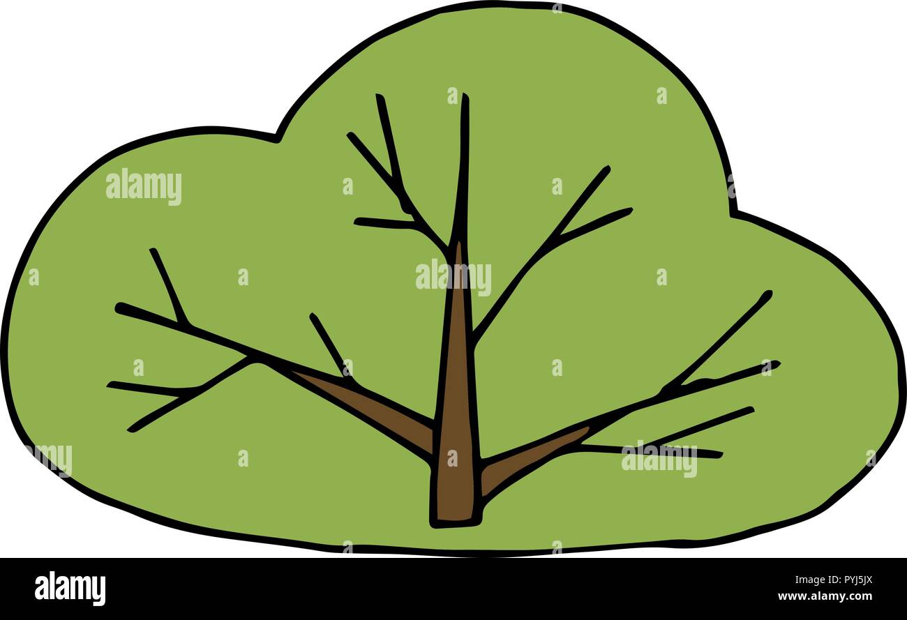 Vector green bush. Illustration de l'enfant simple. Bush mignon avec des branches. Illustration de Vecteur