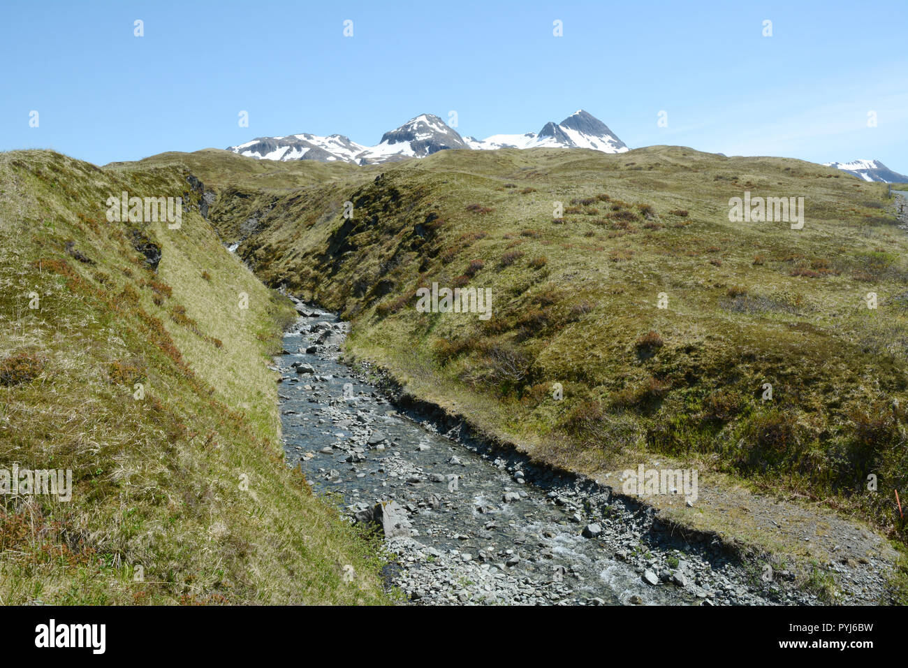 Une rivière qui traverse un grassy mountain meadow sur l'île d'Unalaska, archipel des Aléoutiennes, Alaska, United States. Banque D'Images