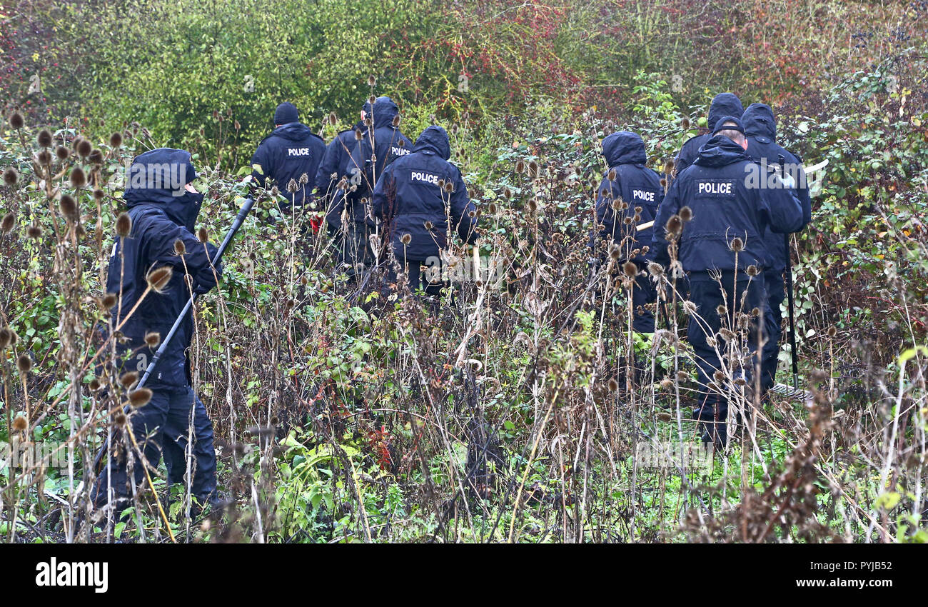 Les agents de police à l'œuvre dans Longfield près de New Ash Green dans le Kent, alors que l'enquête se poursuit dans la disparition de maman-de-cinq Sarah Wellgreen qui n'a pas été vu depuis le 9 octobre. Banque D'Images