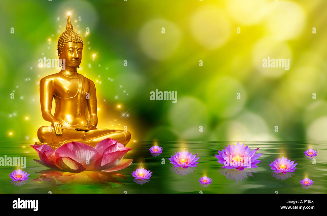 Statue De Bouddha Bouddha Lotus De L Eau Debout Sur Fleur De Lotus Sur Fond Orange Photo Stock Alamy