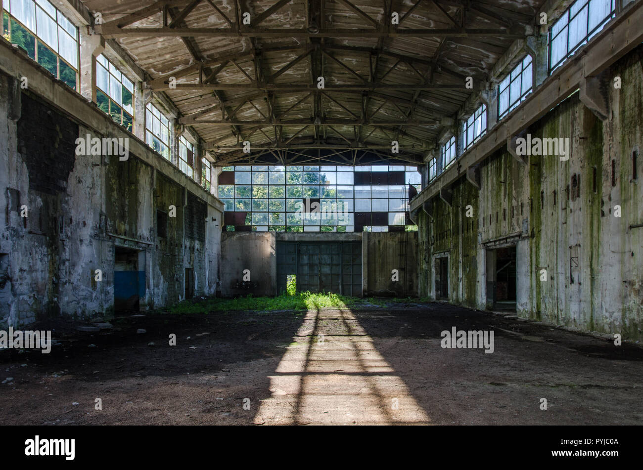 Hall industriel abandonné avec soleil du matin - à l'intérieur de la végétation, le plâtre qui tombe des murs pourris Banque D'Images