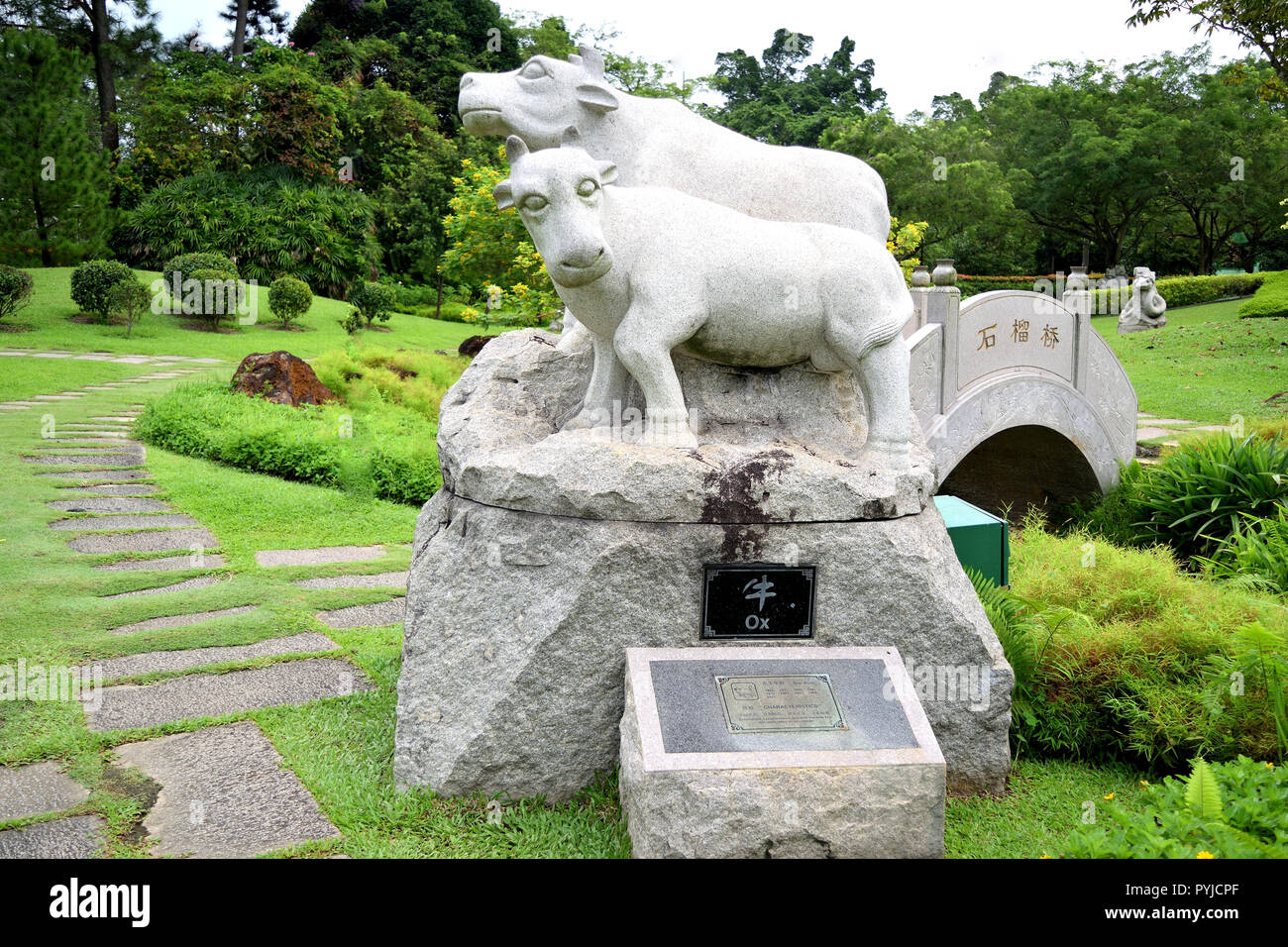 Singapour - 28 octobre 2018 : sculpture représentant le signe du zodiaque du taureau dans le calendrier chinois Banque D'Images