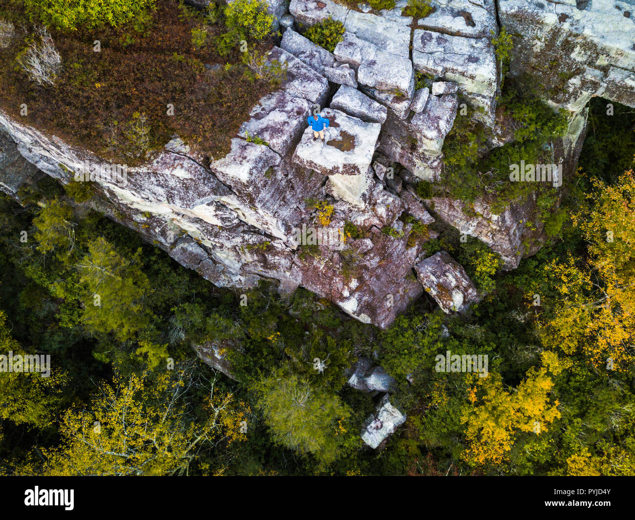 Vue aérienne d'un randonneur sur le bord d'une falaise donnant sur le côté à Table Rock dans la forêt en Canaan Valley, West Virginia. Banque D'Images
