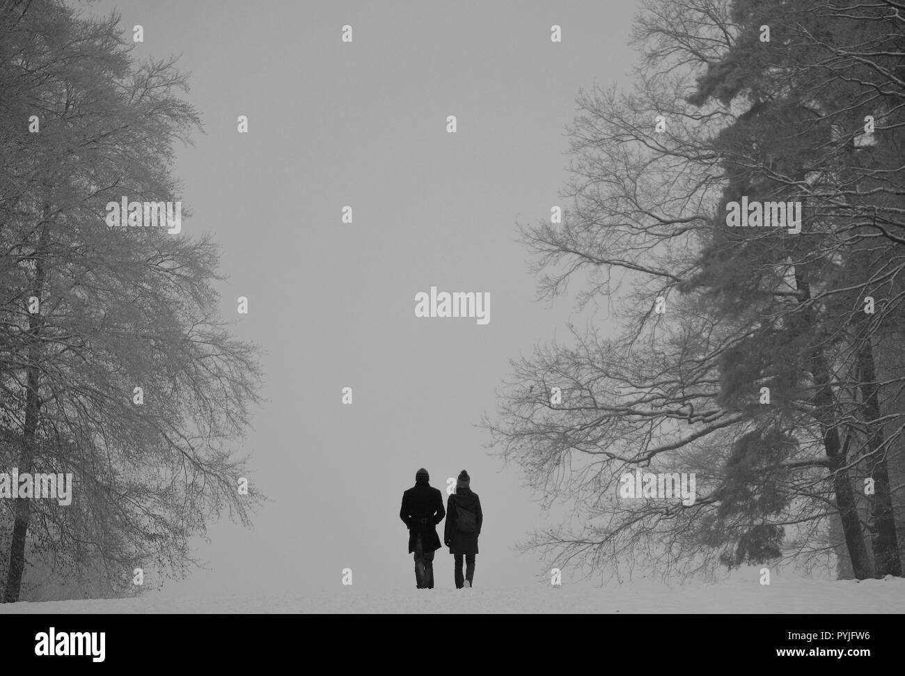 Un couple est walking in park entre deux rangées d'arbre. Tout est blanc sauf le couple. Une image monochrome. Banque D'Images