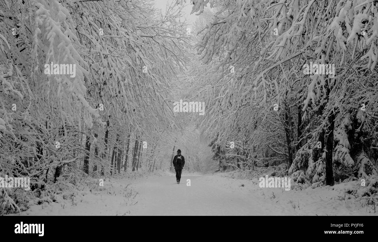 Un homme marche dans une forêt. C'est l'hiver et tout est couvert de neige. Une image monochromatique. Banque D'Images