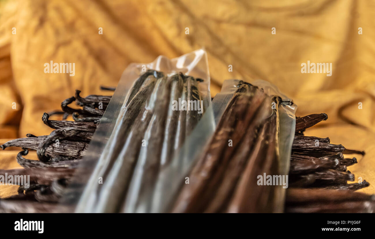 Vanille de tahiti Banque D'Images