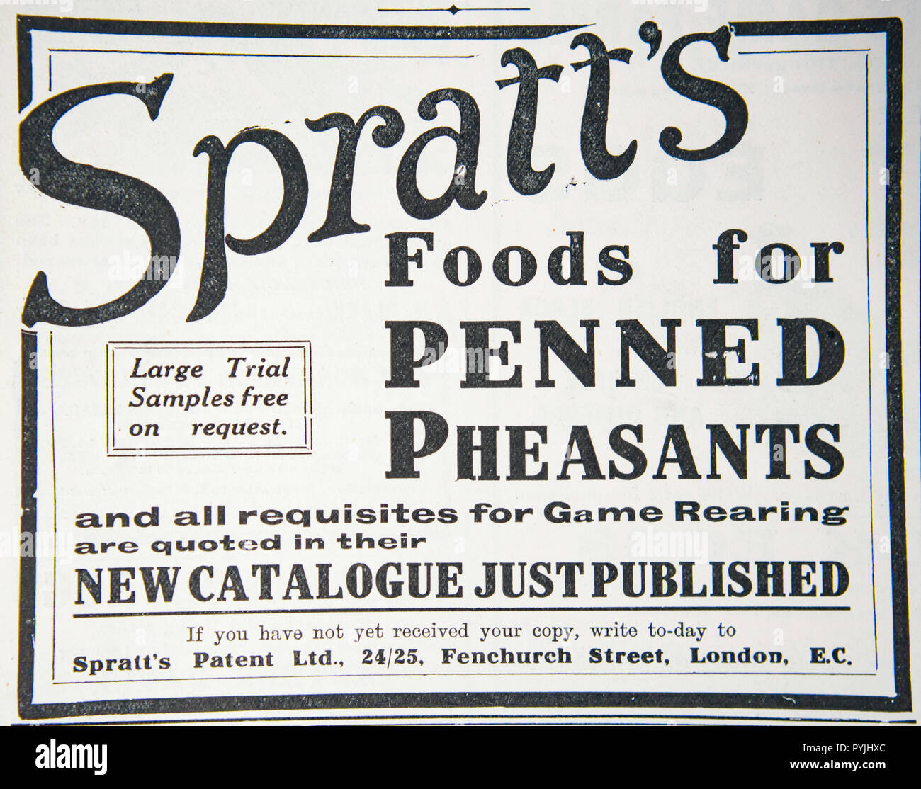 Une vieille publicité pour le faisan de Spratt de nourriture. À partir d'un magazine anglais de la période 1914-1918. England UK GO Banque D'Images