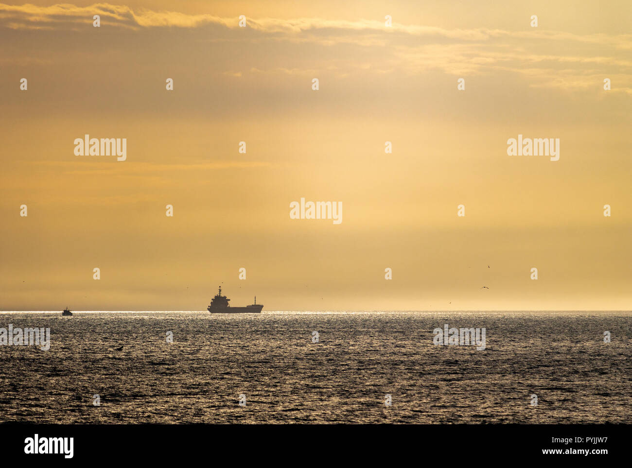 Un cargo en mer est vu dans l'horizon avant le coucher du soleil. Banque D'Images