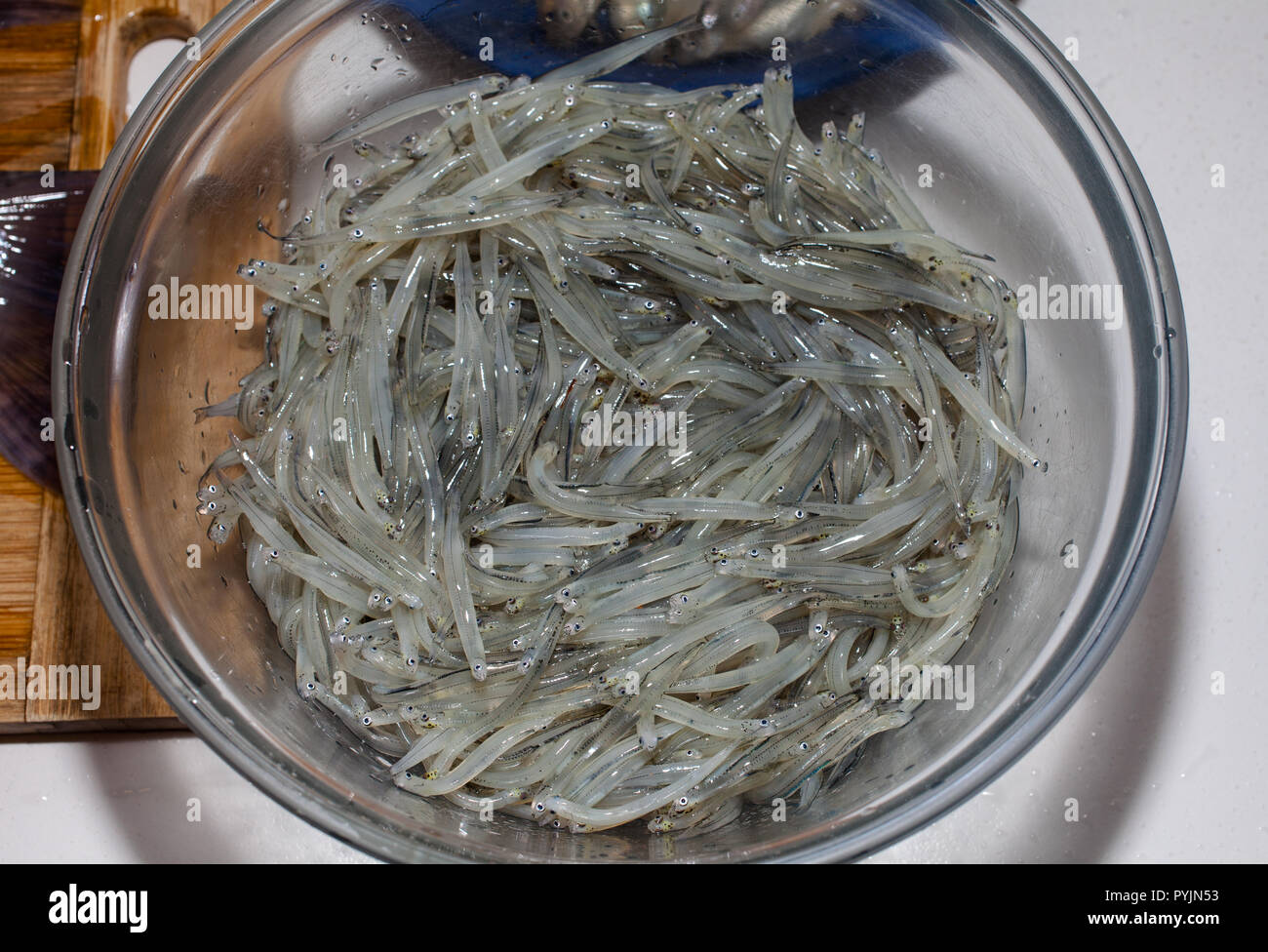 La NOUVELLE ZELANDE Whitebait. Banque D'Images