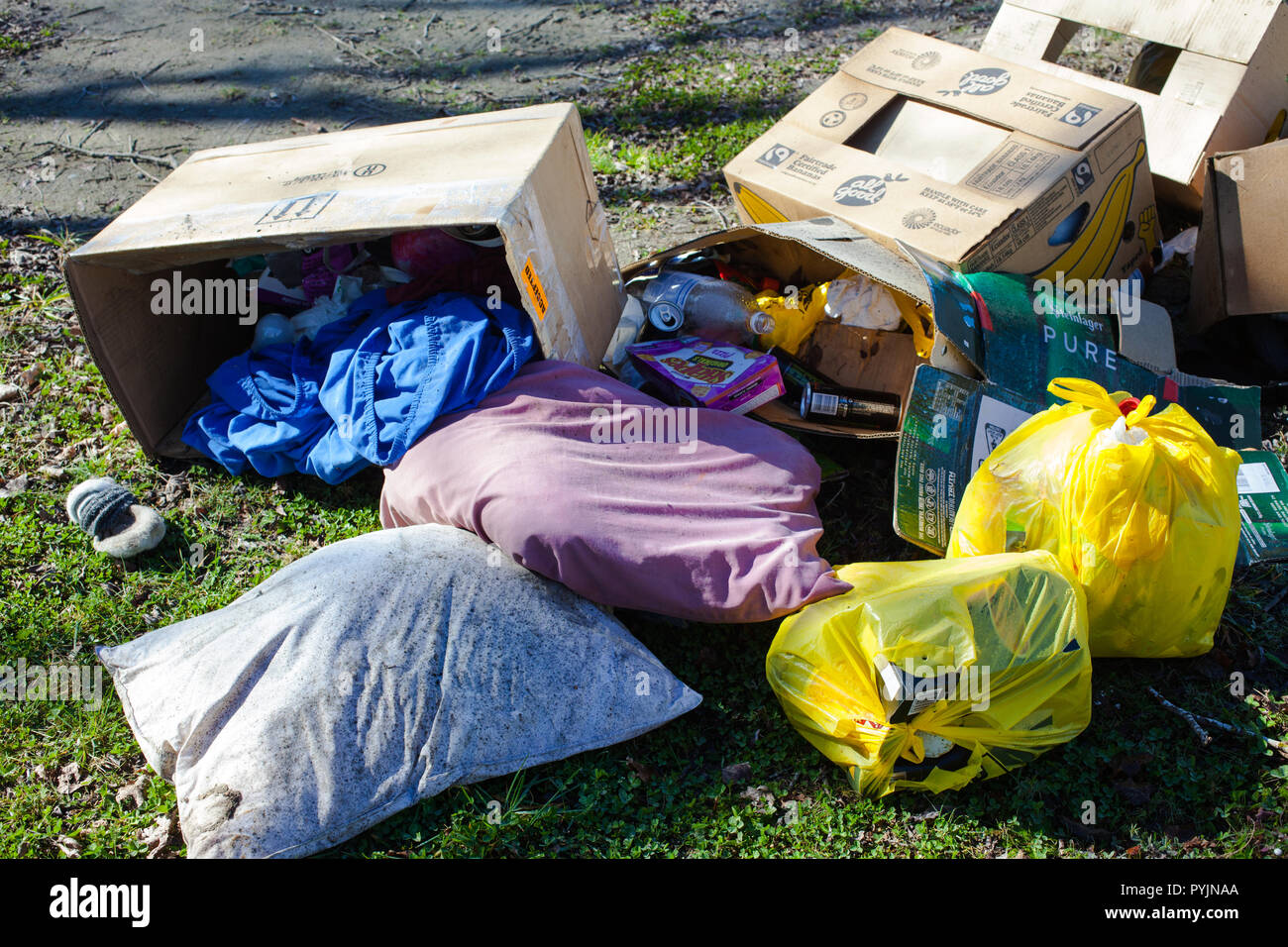Un regard sur la vie en Nouvelle-Zélande. Les ordures ménagères ont été jetées au bord d'une rivière. Les Kiwis n'ont jamais été gentils avec leur belle campagne. Banque D'Images