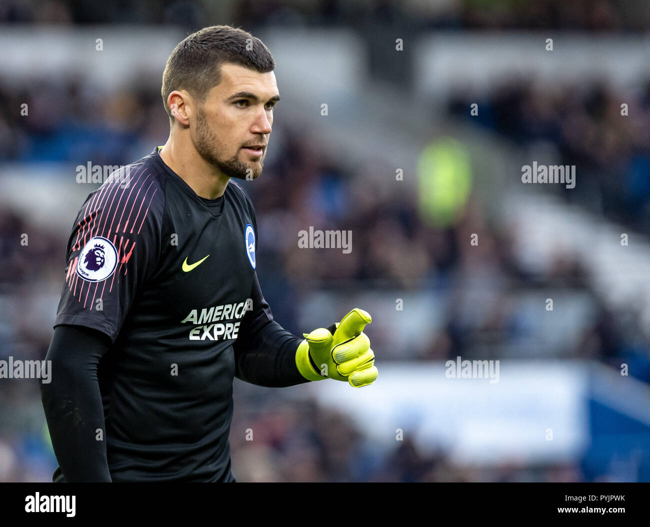 Brighton, UK. 27 Oct 2018. Gardien de Mathew Ryan de Brighton et Hove Albion au cours de la Premier League match entre Brighton et Hove Albion Wolverhampton Wanderers et à l'AMEX Stadium, Brighton, Angleterre le 27 octobre 2018. Photo par Liam McAvoy. Credit : UK Sports Photos Ltd/Alamy Live News Banque D'Images