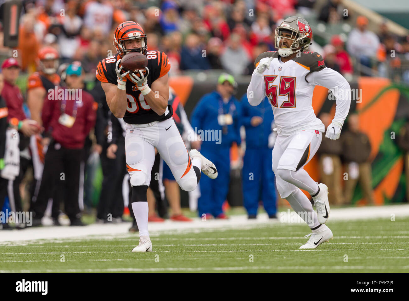 Cincinnati, OH, USA. 28 Oct, 2018. Cincinnati Bengals tight end Jordanie Franks (88) capture une passe de Cincinnati Bengals quarterback Andy Dalton (pas sur la photo) dans un match entre les Pittsburgh Steelers et les Bengals de Cincinnati le 28 octobre 2018 au Stade Paul Brown à Cincinnati, OH. Adam Lacy/CSM/Alamy Live News Banque D'Images