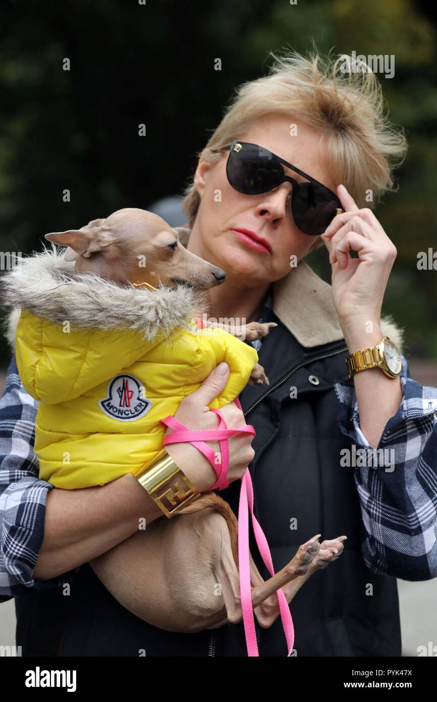 New York City, New York, USA. 28 Oct, 2018. L'organisation de défense des droits des animaux Coalition de militants des droits des animaux (CARA) se sont ralliés à Columbus Circle à New York le 28 octobre 2018, pour protester contre le traitement des sauvés, abandonnés et remis les animaux à des centres financés par le public, où ils ont réclamé la plupart des animaux sont tués. Credit : Ronald G. Lopez/ZUMA/Alamy Fil Live News Banque D'Images