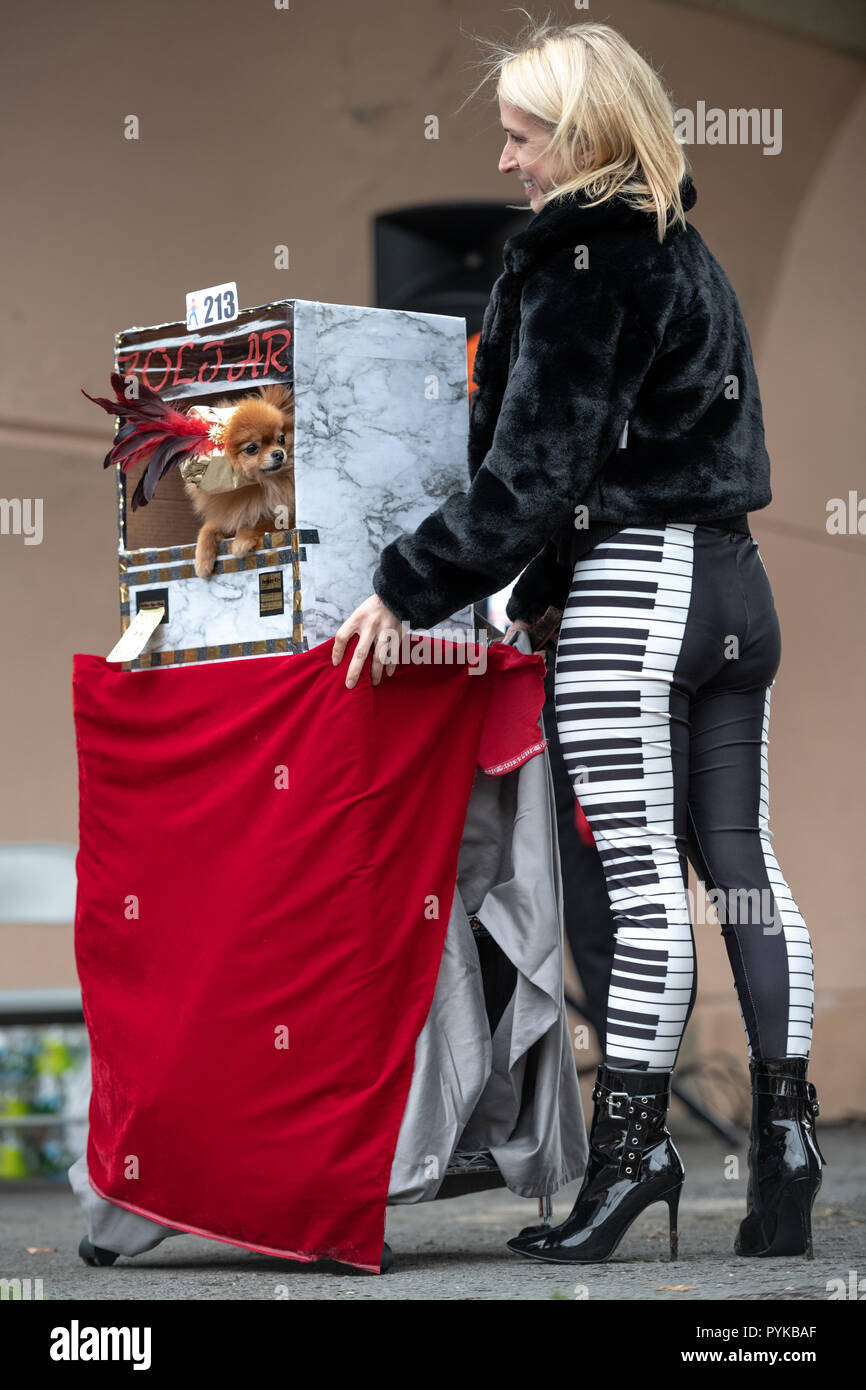 New York, USA, 28 octobre 2018. Une femme porte son chien appelé Mozart à l'intérieur d'un Zoltar Fortune Teller machine pendant le 28e Congrès annuel de l'Halloween dog parade Tompkins Square à New York. Credit : Enrique Shore/Alamy Live News Banque D'Images